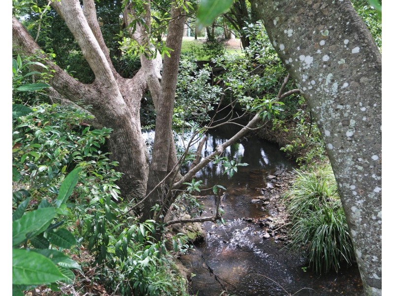 384 Cobaki Road, Cobaki NSW 2486