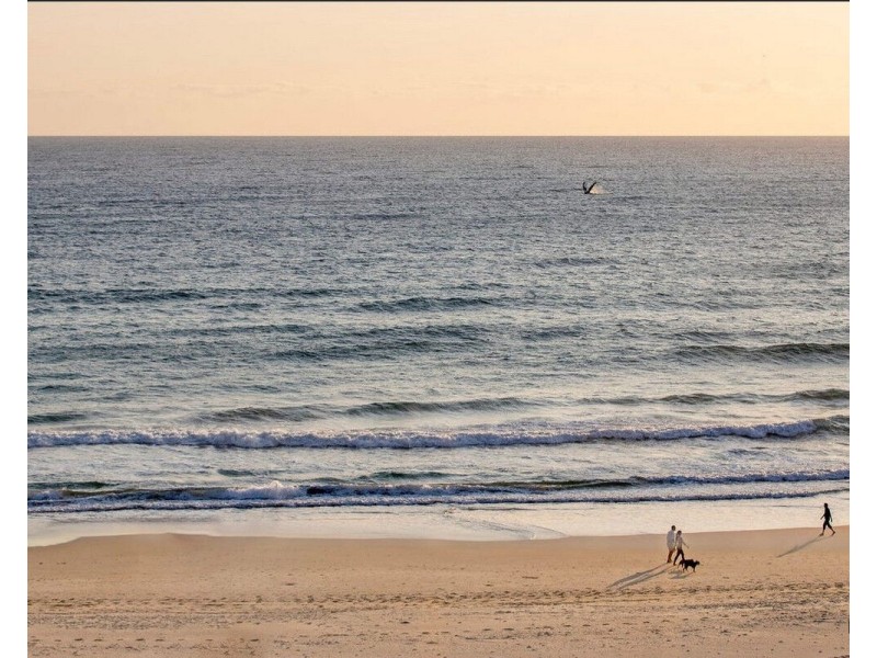 101/321 Golden Four Drive, Tugun QLD 4224