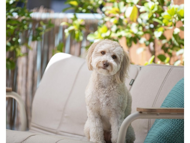 3/17-19 Markeri Street, Mermaid Beach QLD 4218