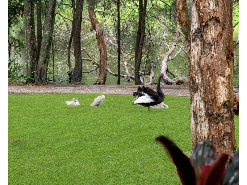 1/547 Gold Coast Highway, Tugun QLD 4224