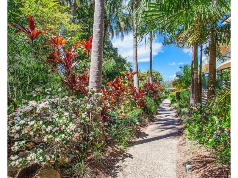 84/955 Gold Coast Highway, Palm Beach QLD 4221