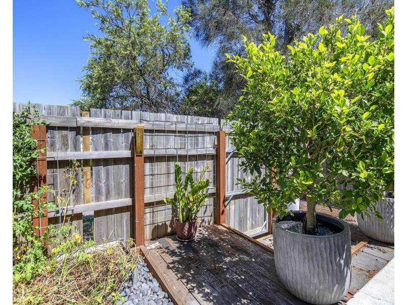 13/503 Pine Ridge Road, Biggera Waters QLD 4216