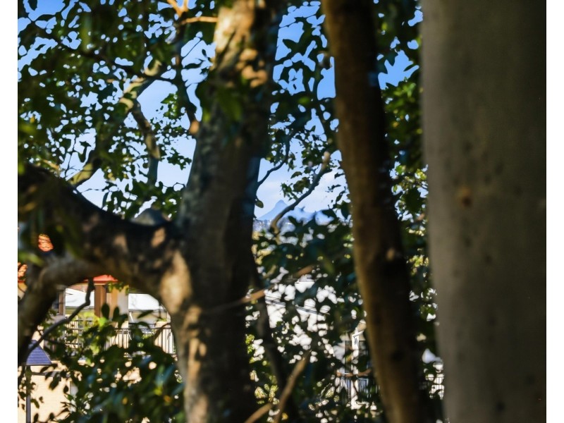 3/17 Rutledge Street, Coolangatta QLD 4225