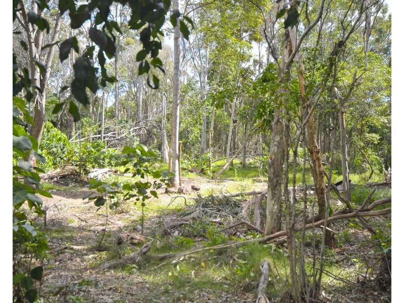 220 Tallebudgera Drive, Palm Beach QLD 4221