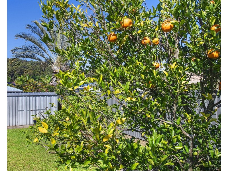 12 Gilchrist Drive, Currumbin Waters QLD 4223