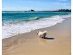 1202/10 Fifth Avenue, Palm Beach QLD 4221