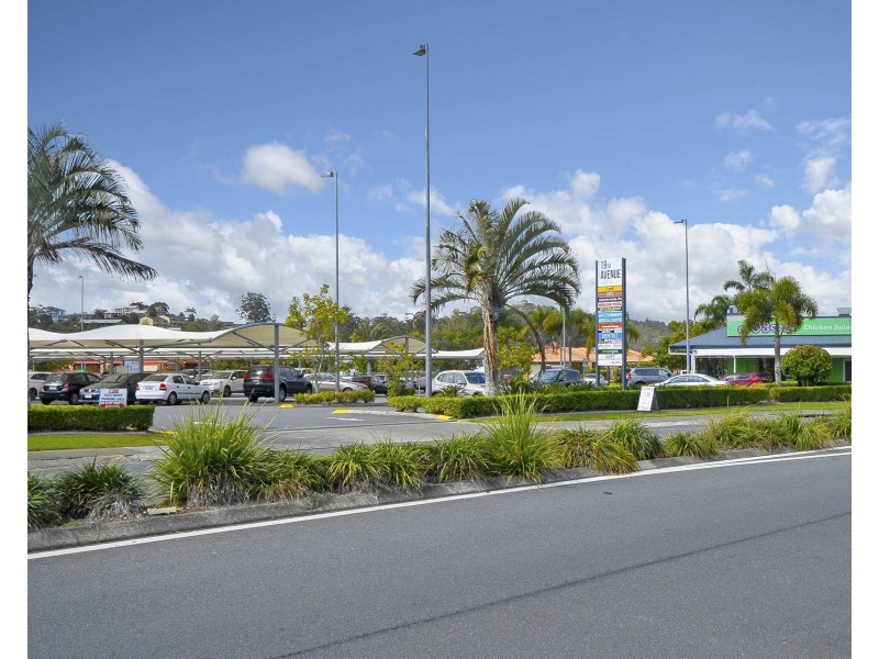 4 Avocado Street, Elanora QLD 4221