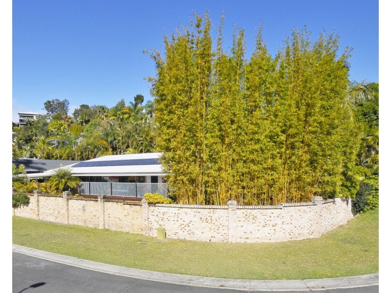 19 Balsa Street, Elanora QLD 4221