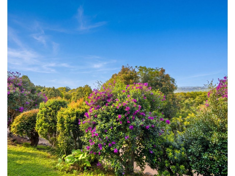 11/61 Marana Street, Bilambil Heights NSW 2486
