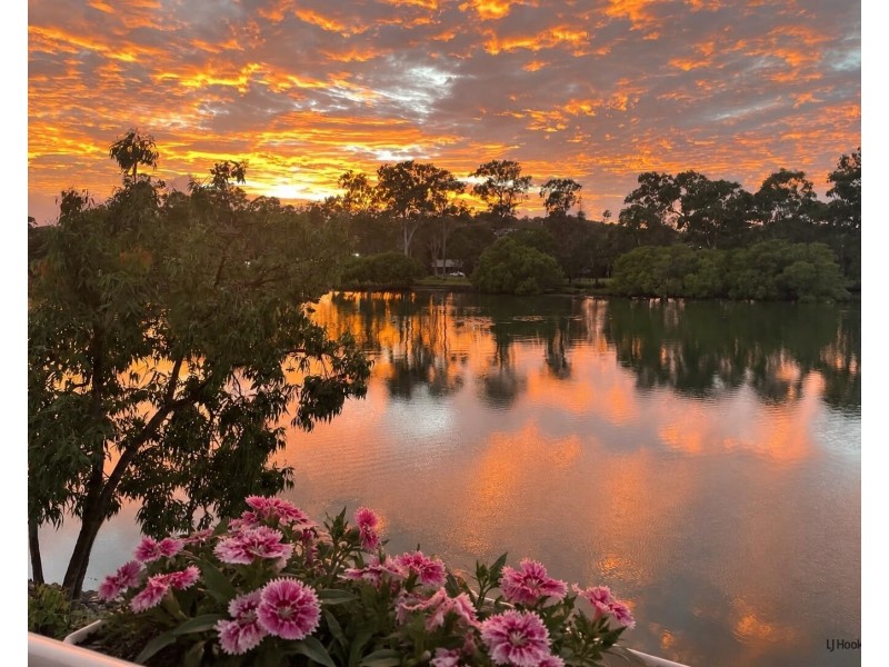 39/56-70 Guineas Creek Road, Currumbin Waters QLD 4223