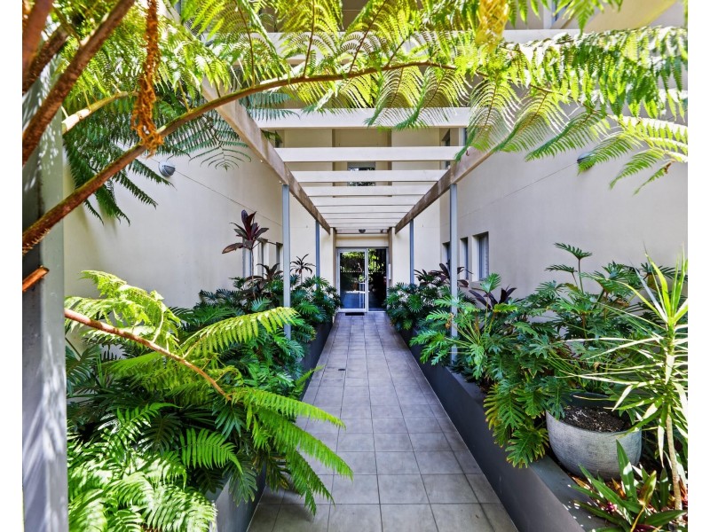 8/50-52 Miles Street, Coolangatta QLD 4225