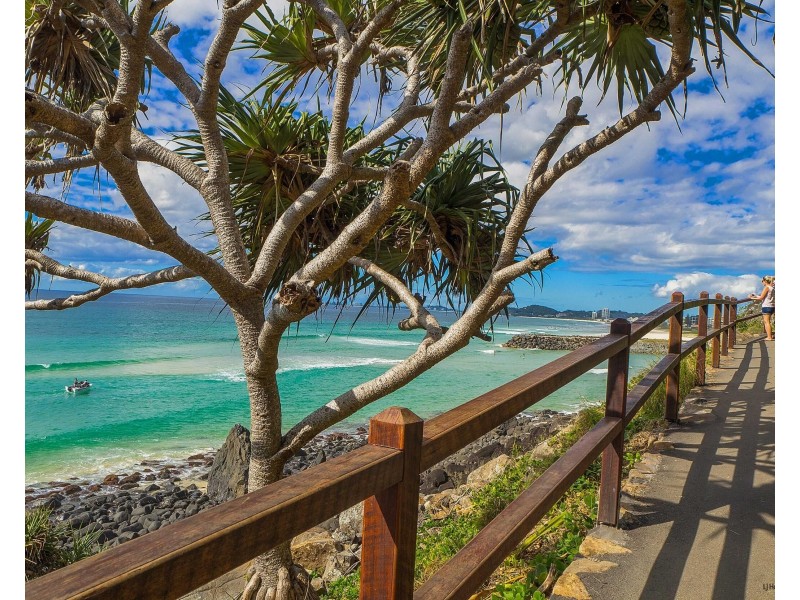 69 Dunlin Drive, Burleigh Waters QLD 4220