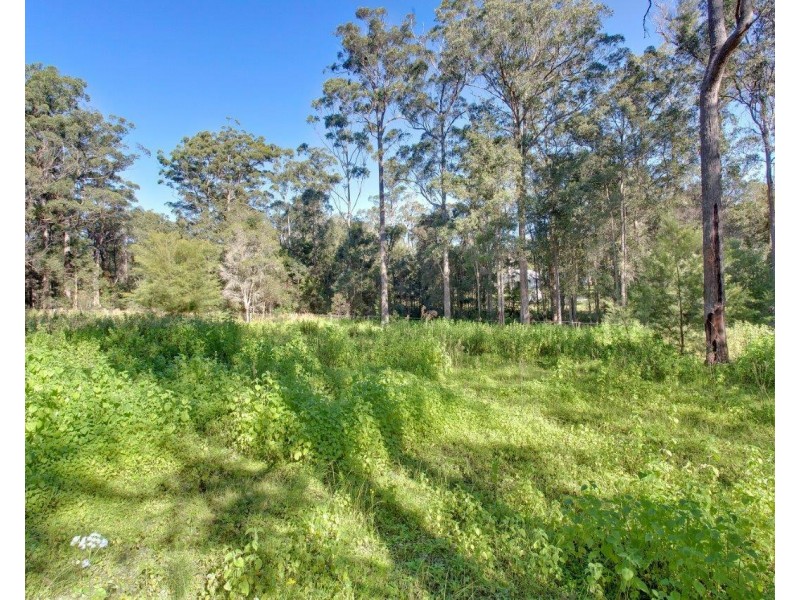 96 Sarahs Crescent, King Creek NSW 2446