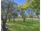 74 Frazers Creek Road, Beechwood NSW 2446