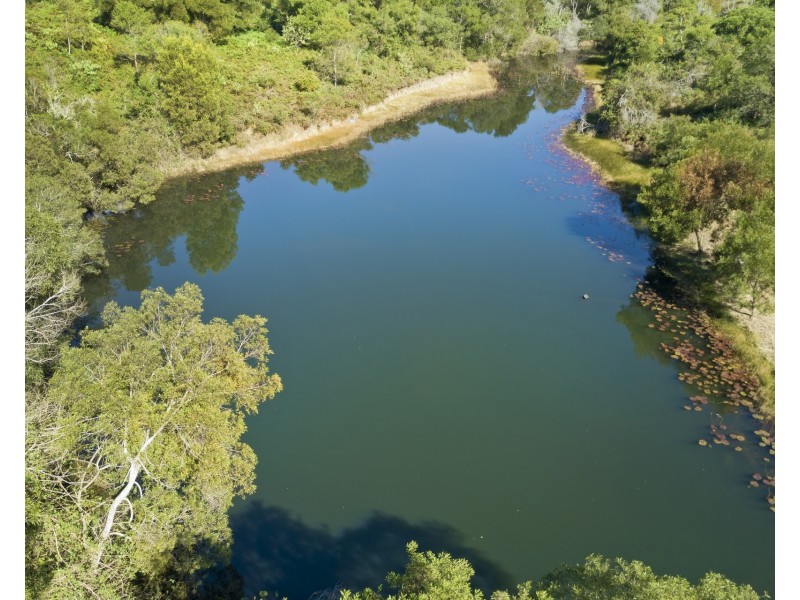 74 Frazers Creek Road, Beechwood NSW 2446