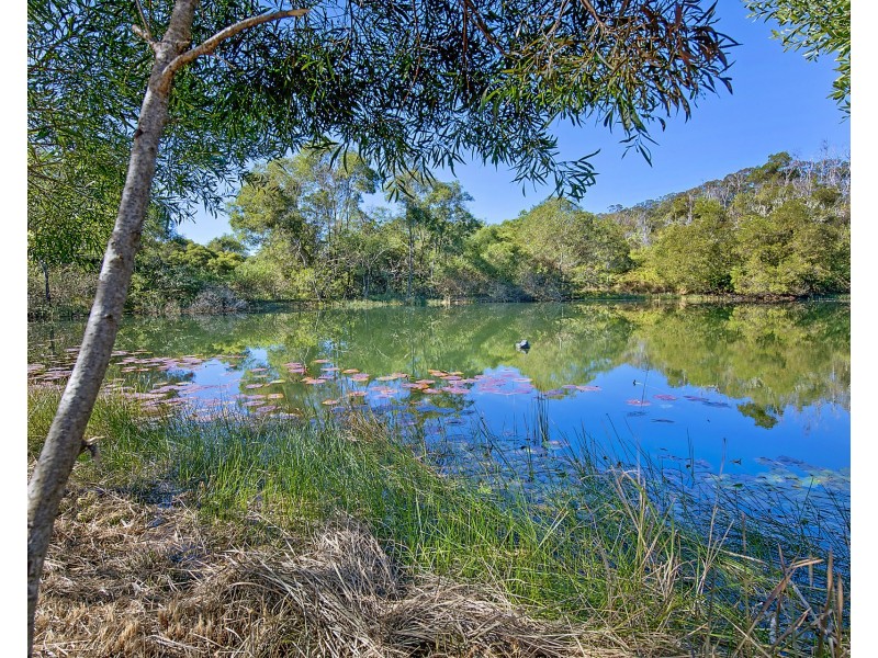 74 Frazers Creek Road, Beechwood NSW 2446