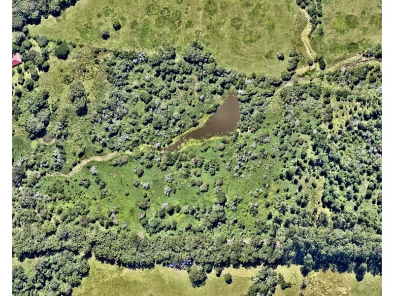 74 Frazers Creek Road, Beechwood NSW 2446
