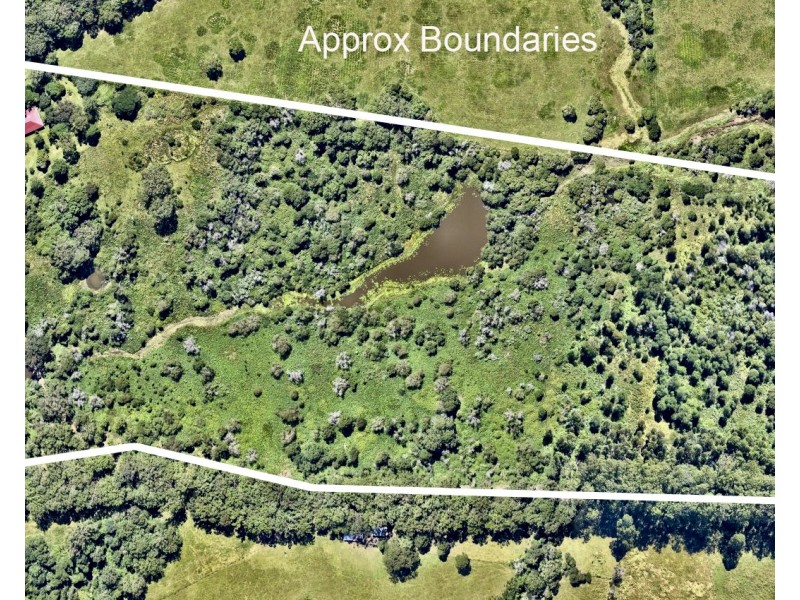 74 Frazers Creek Road, Beechwood NSW 2446
