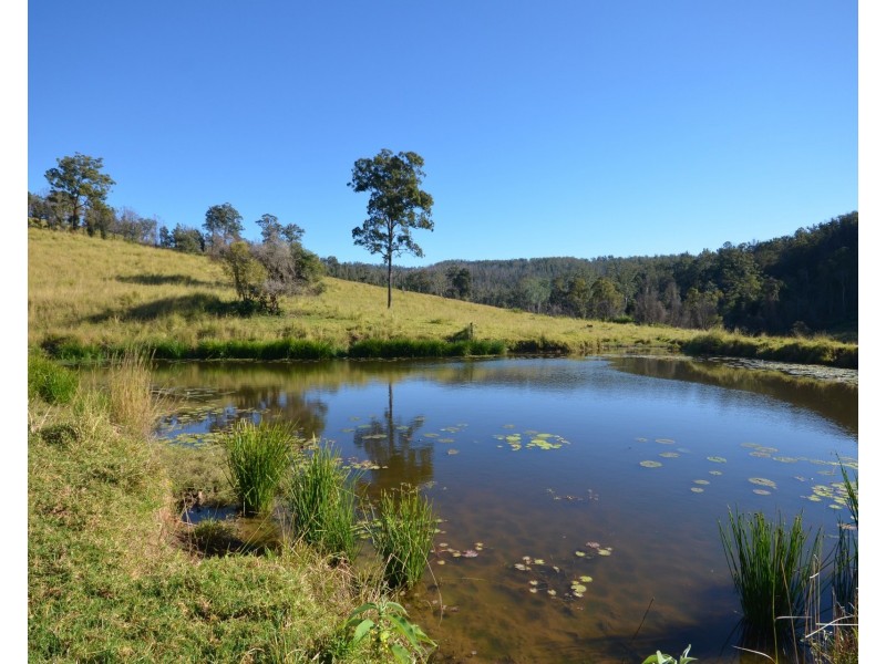 1853 Bellangry Road, Bellangry NSW 2446