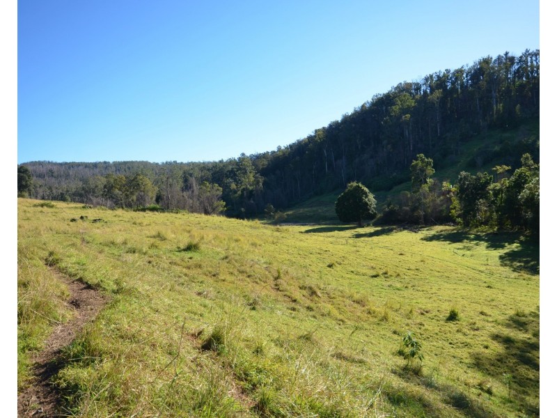 1853 Bellangry Road, Bellangry NSW 2446