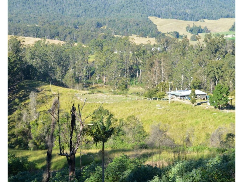 1853 Bellangry Road, Bellangry NSW 2446