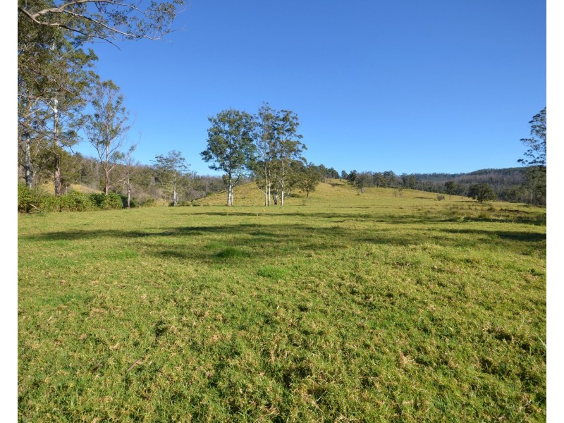 1853 Bellangry Road, Bellangry NSW 2446