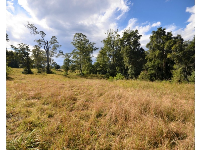 3633 Oxley Highway, Hyndmans Creek NSW 2446