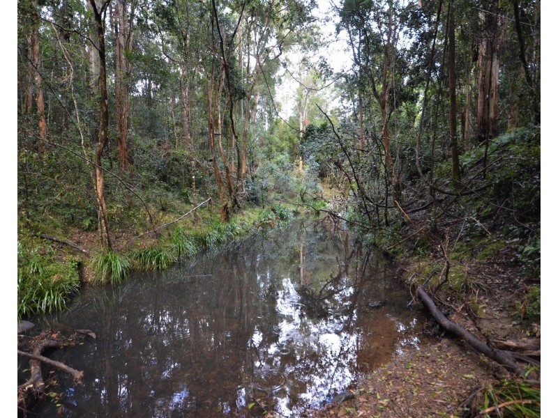 3633 Oxley Highway, Hyndmans Creek NSW 2446