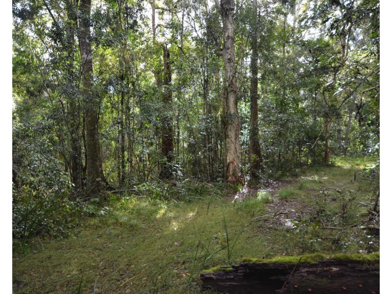 3633 Oxley Highway, Hyndmans Creek NSW 2446