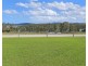 1131 Minimbah Road, Minimbah NSW 2312
