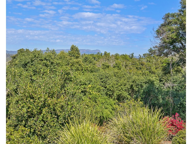 445 Beechwood Road, Beechwood NSW 2446