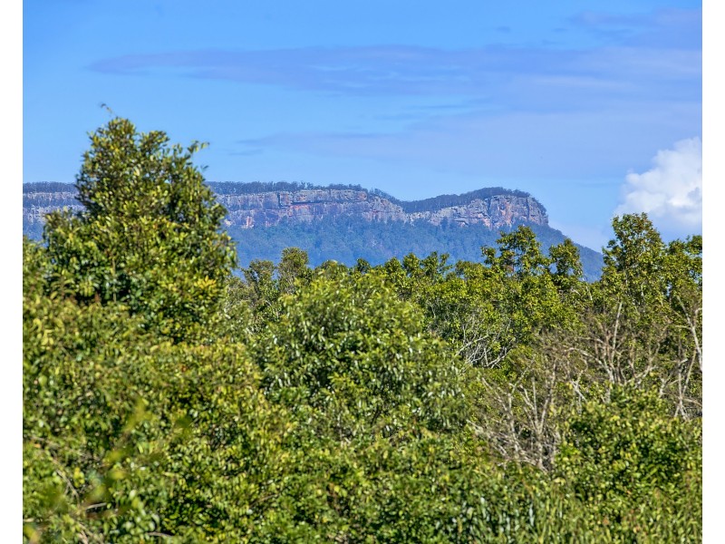 445 Beechwood Road, Beechwood NSW 2446