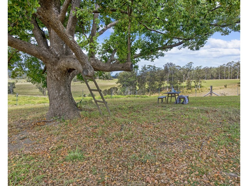 115 West Frazers Creek Road, Frazers Creek NSW 2446