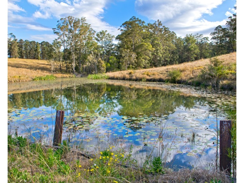 115 West Frazers Creek Road, Frazers Creek NSW 2446