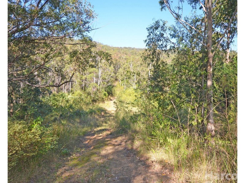 355 Cowal Creek Road, Bellangry NSW 2446