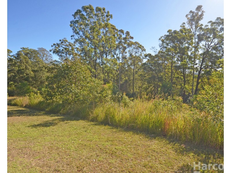 355 Cowal Creek Road, Bellangry NSW 2446