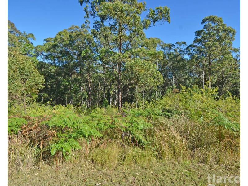 355 Cowal Creek Road, Bellangry NSW 2446