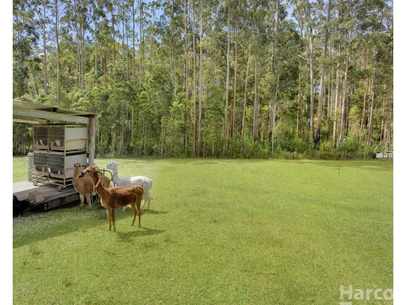 9 Bailey Close, King Creek NSW 2446