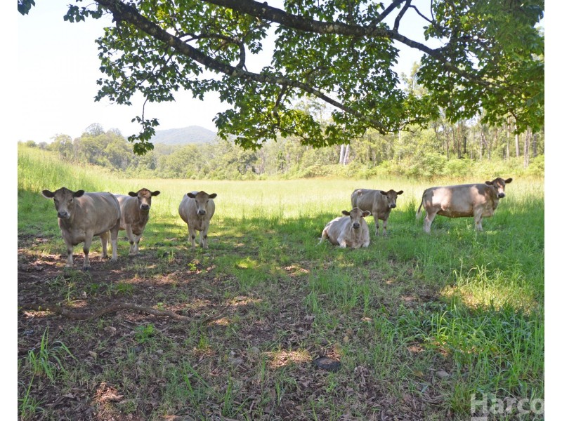 26 Apple Tree Road, Bellangry NSW 2446