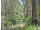 Lot 1 Clarefield Dungay Creek Road, Marlo Merrican NSW 2446
