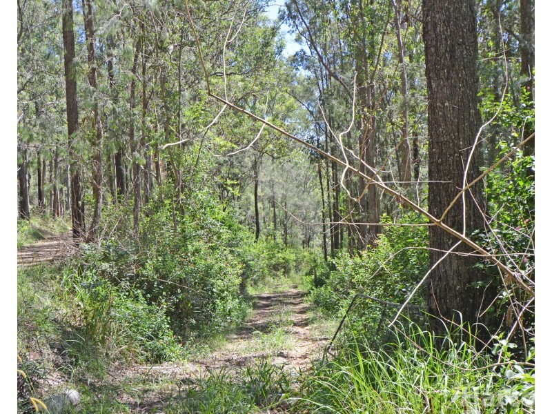 Lot 1 Clarefield Dungay Creek Road, Marlo Merrican NSW 2446
