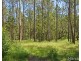 Lot 1 Clarefield Dungay Creek Road, Marlo Merrican NSW 2446