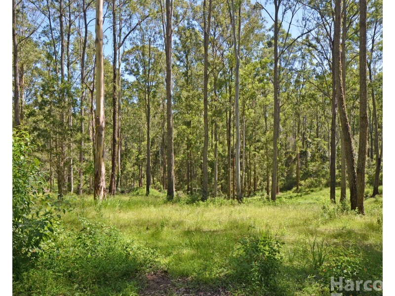 Lot 1 Clarefield Dungay Creek Road, Marlo Merrican NSW 2446