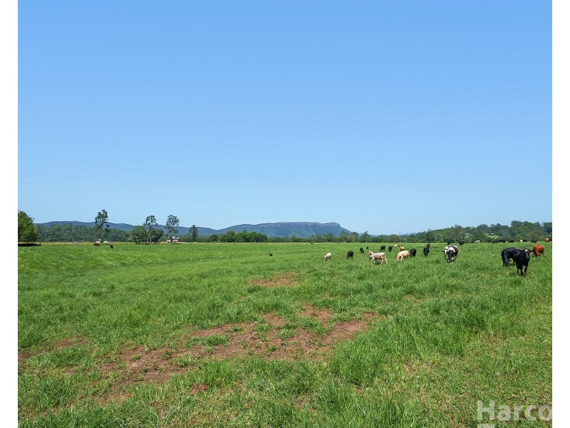 222 Koree Island Road, Beechwood NSW 2446