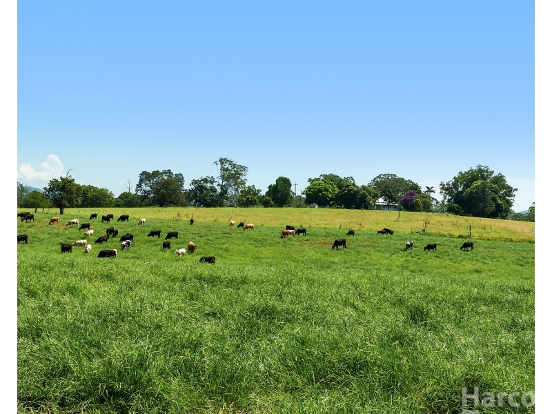 222 Koree Island Road, Beechwood NSW 2446