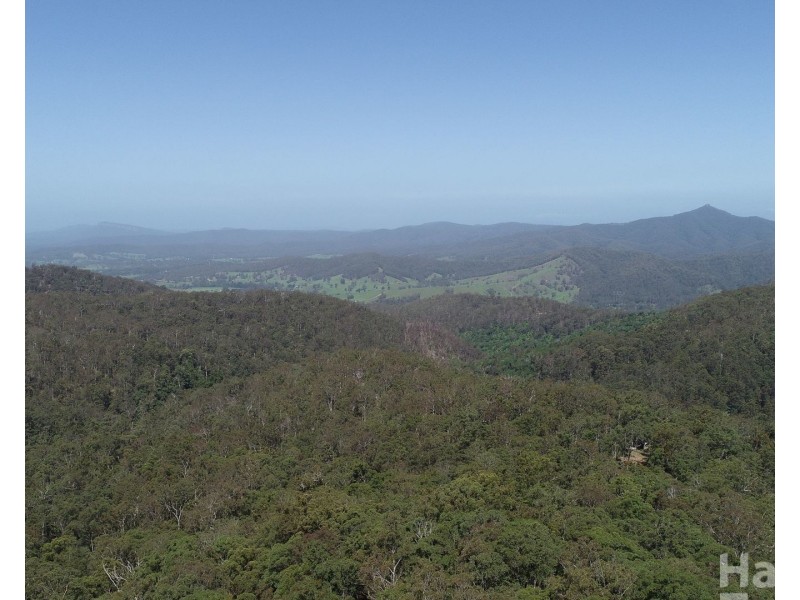 872 Ponsfords Road, Comboyne NSW 2429