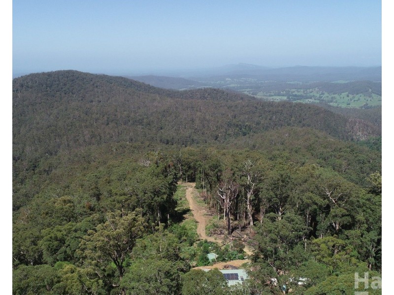 872 Ponsfords Road, Comboyne NSW 2429