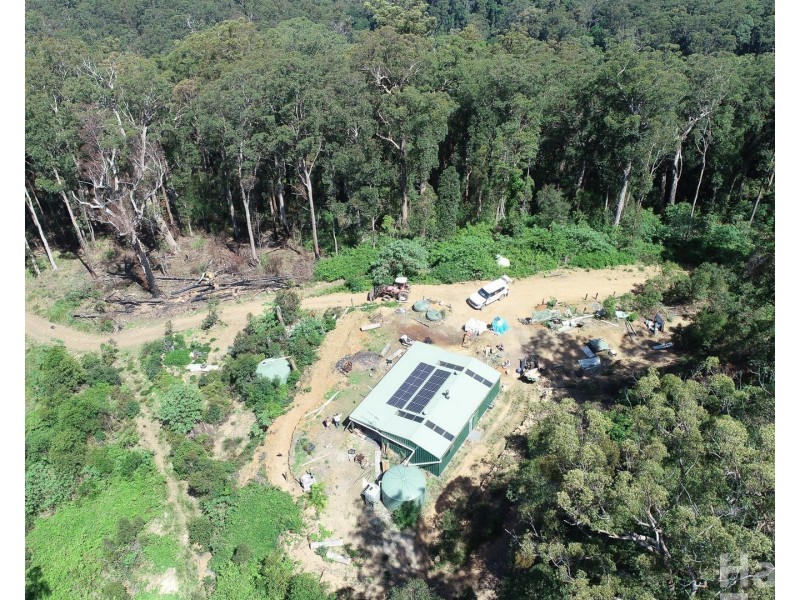 872 Ponsfords Road, Comboyne NSW 2429