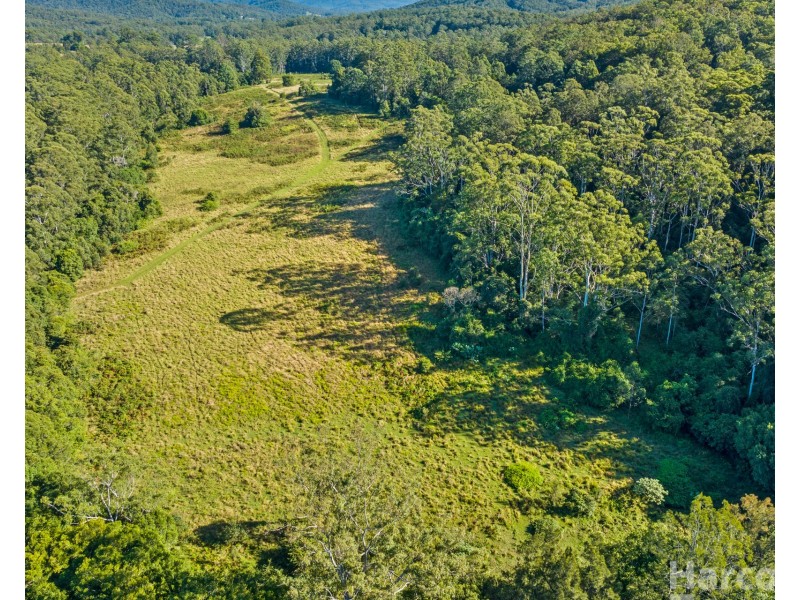 41 Fishers Ridge, Bellangry NSW 2446