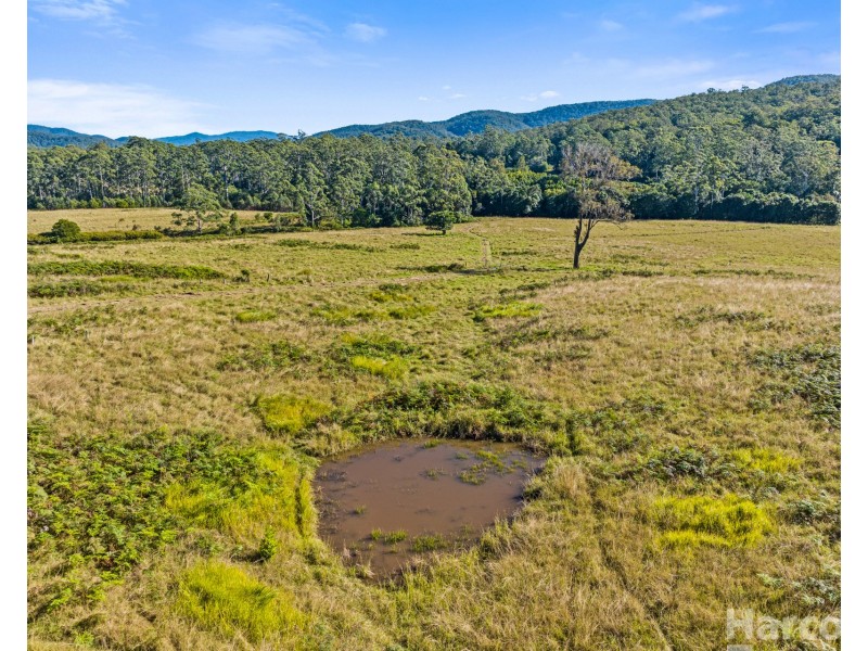 41 Fishers Ridge, Bellangry NSW 2446